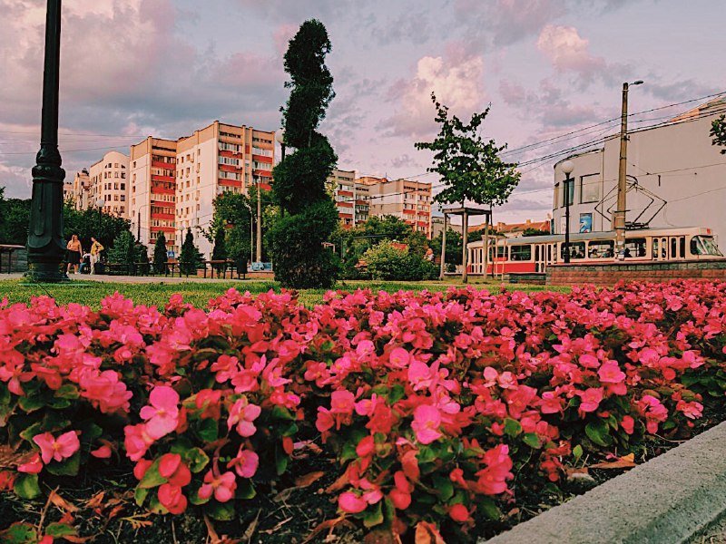 Когда розовые очки можно снять, а картина останется той же. Фото: @nikita.bozhko87 