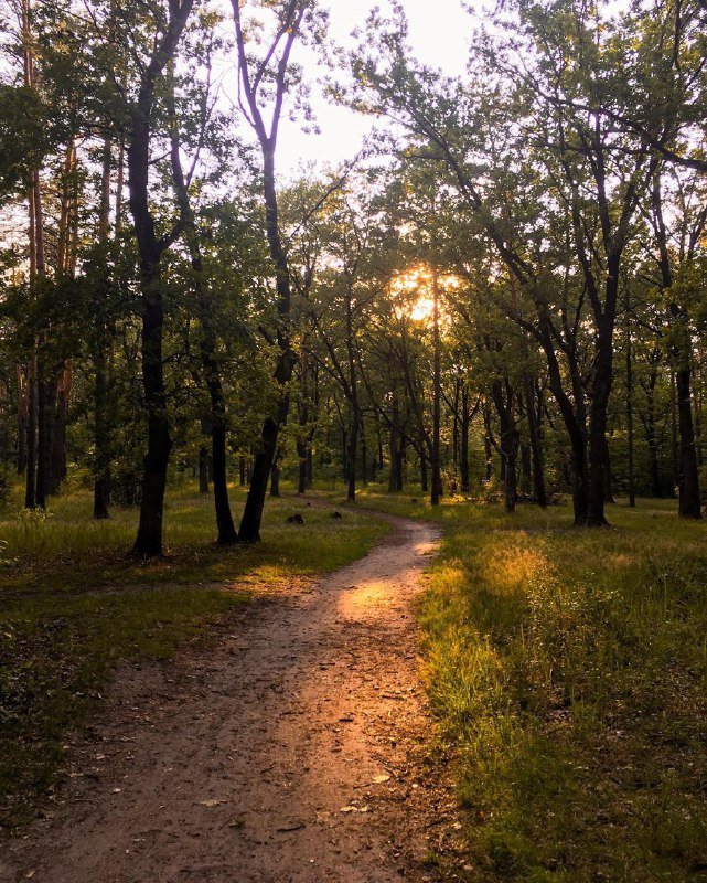 Лесной свежести и вам в ленту. Почувствовали запах шишек? Фото: @mary_marriardi