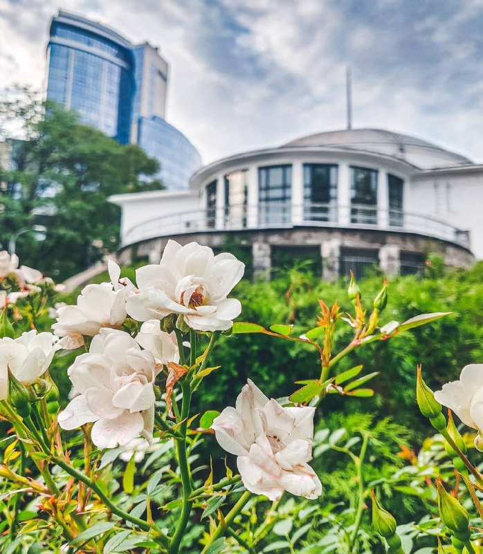 Почему в ботсаду нельзя поставить кровать и жить там? Фото: @a_kalnauzov