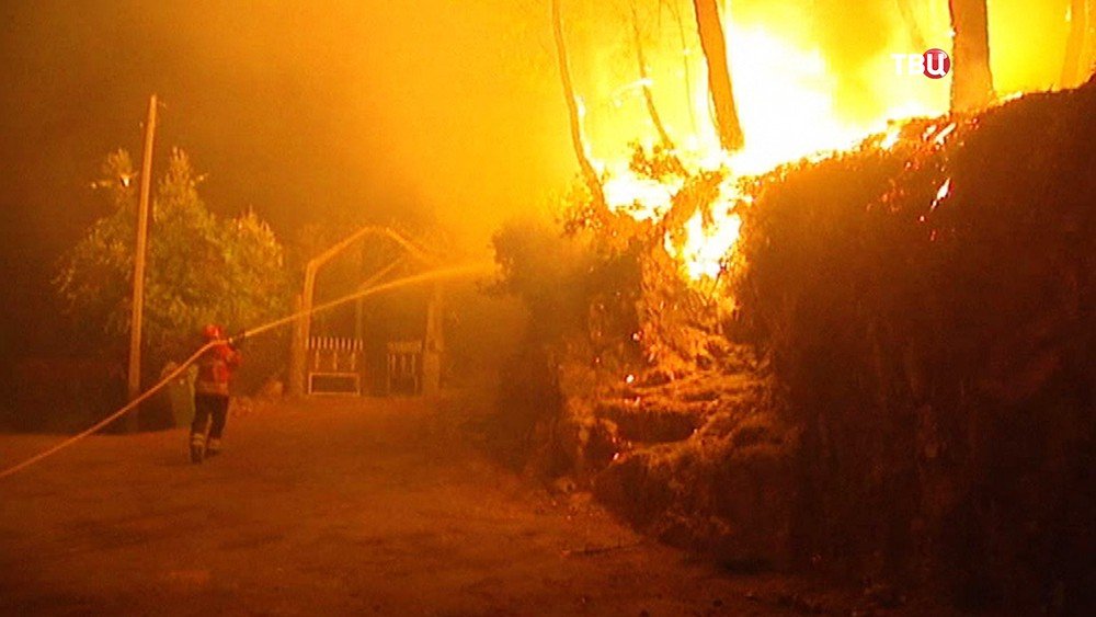 Лесные пожары в Португалии стали причиной травм двадцати человек Лесные пожары в Португалии стали причиной травм двадцати человек