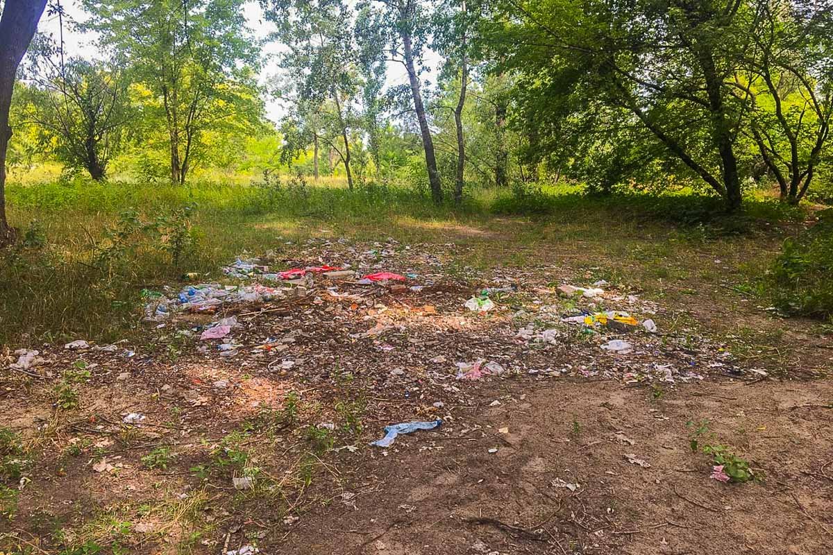 Мусор, оставшийся, после отдыхающих Мусор, оставшийся, после отдыхающих