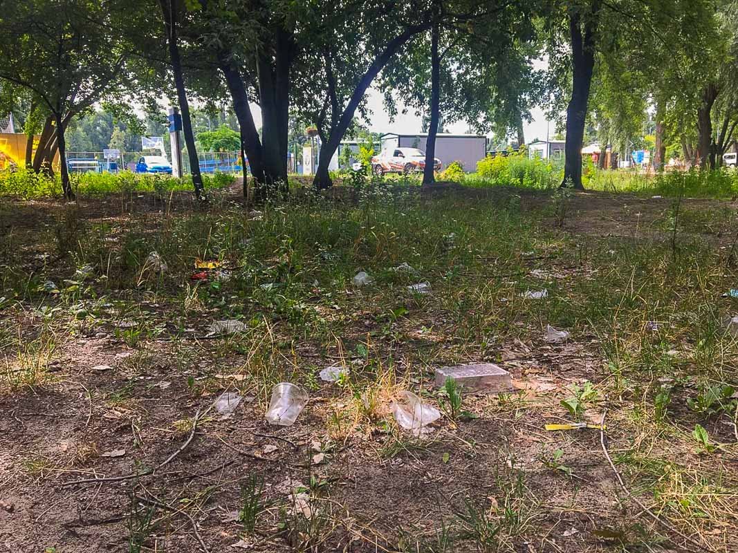 А ведь красивый газончик был бы, если бы не мусор А ведь красивый газончик был бы, если бы не мусор