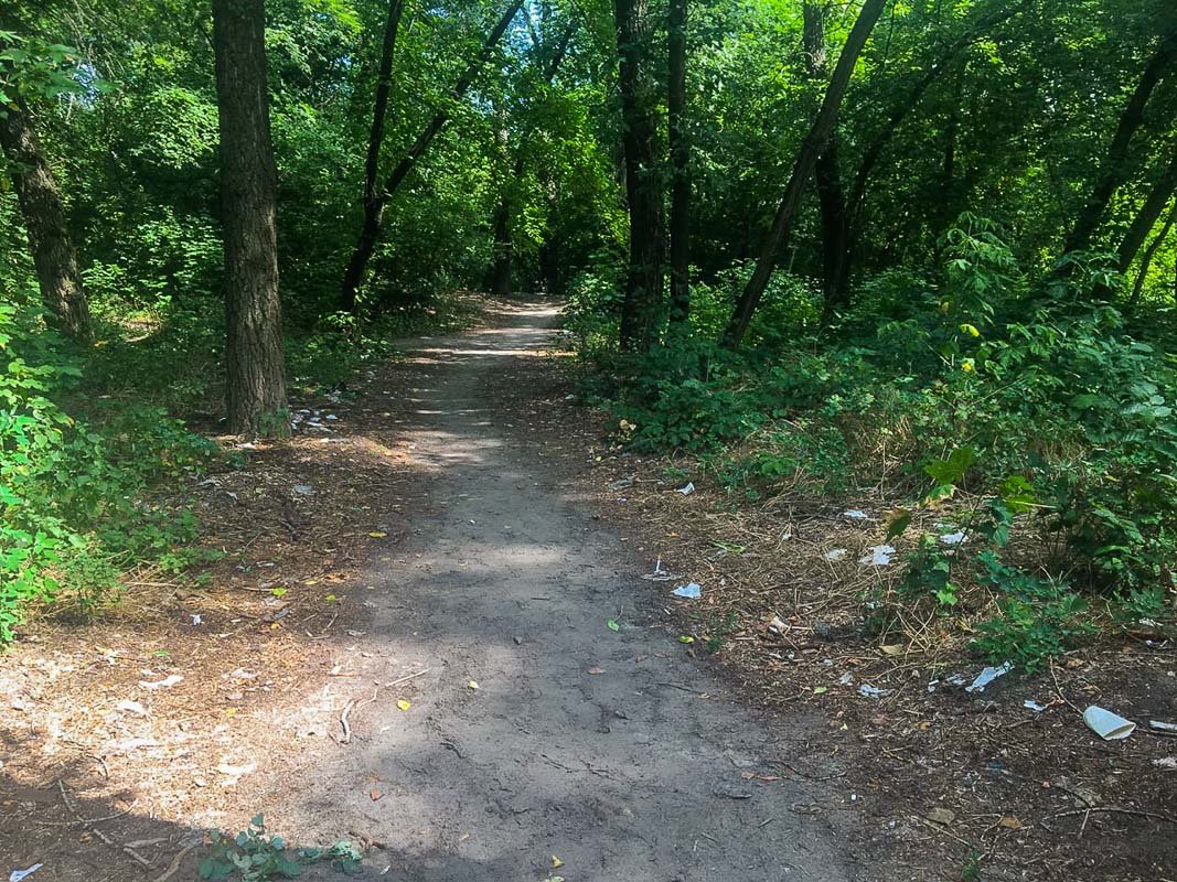 Уютное было бы место, если бы не весь этот хлам Уютное было бы место, если бы не весь этот хлам