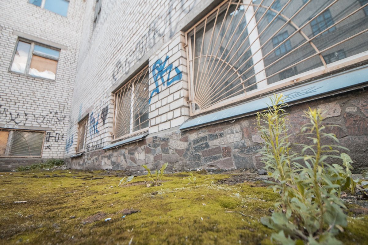 Да и поросший мхом фундамент тоже не так чтобы шокирует