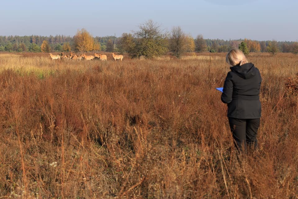 Сотрудники Киевского зоопарка отправились в зону отчуждения ЧАЭС
