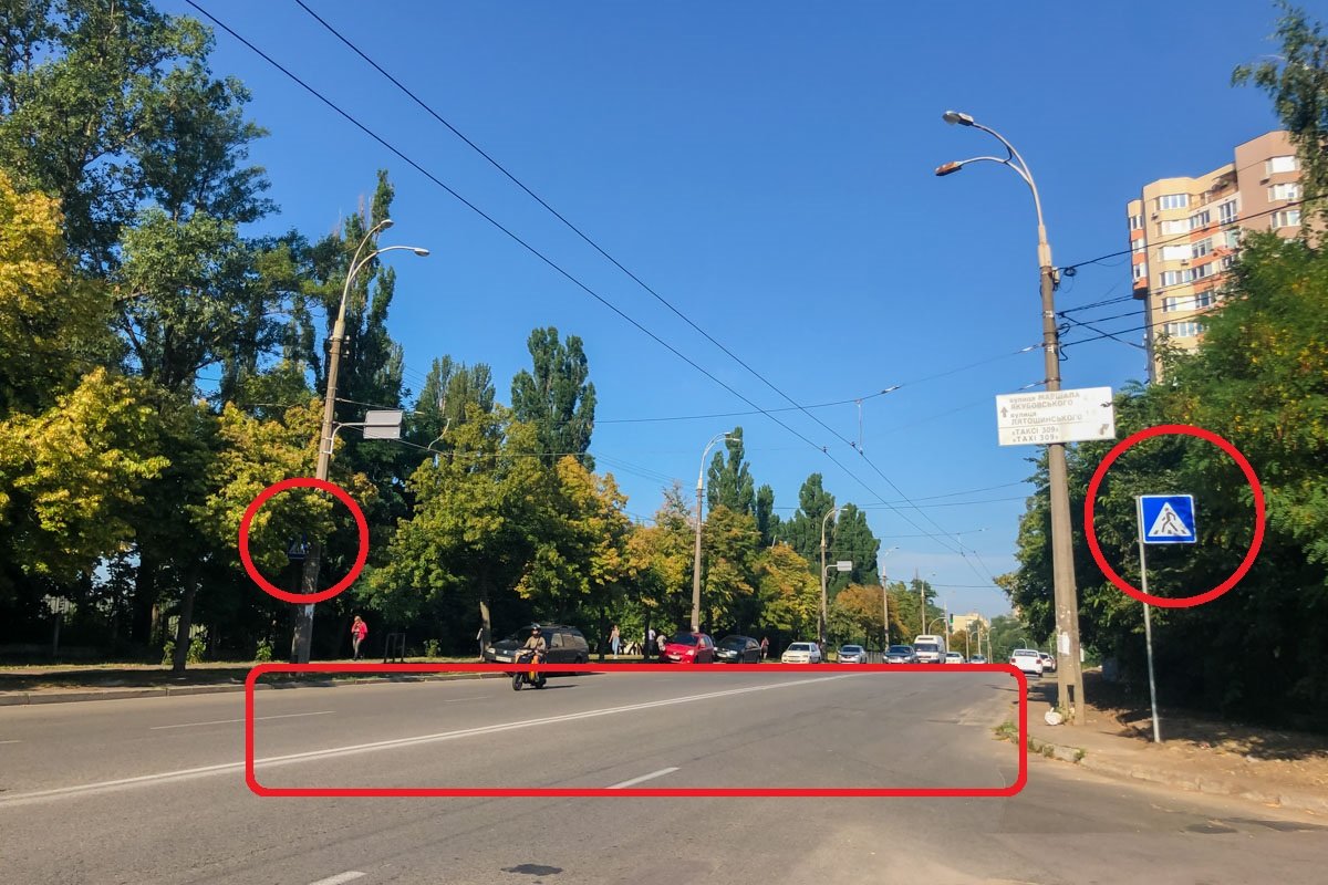 В одном месте дорожный знак о пешеходном переходе зарос настолько, что его может разглядеть только тот, кто знает о его существовании