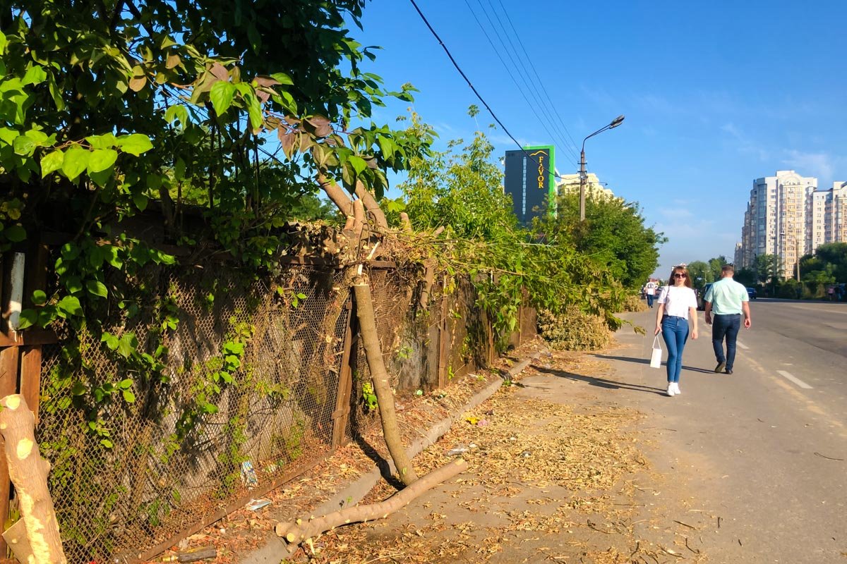 Зачищать улицу вдоль гаражного кооператива начали не с края, а с середины