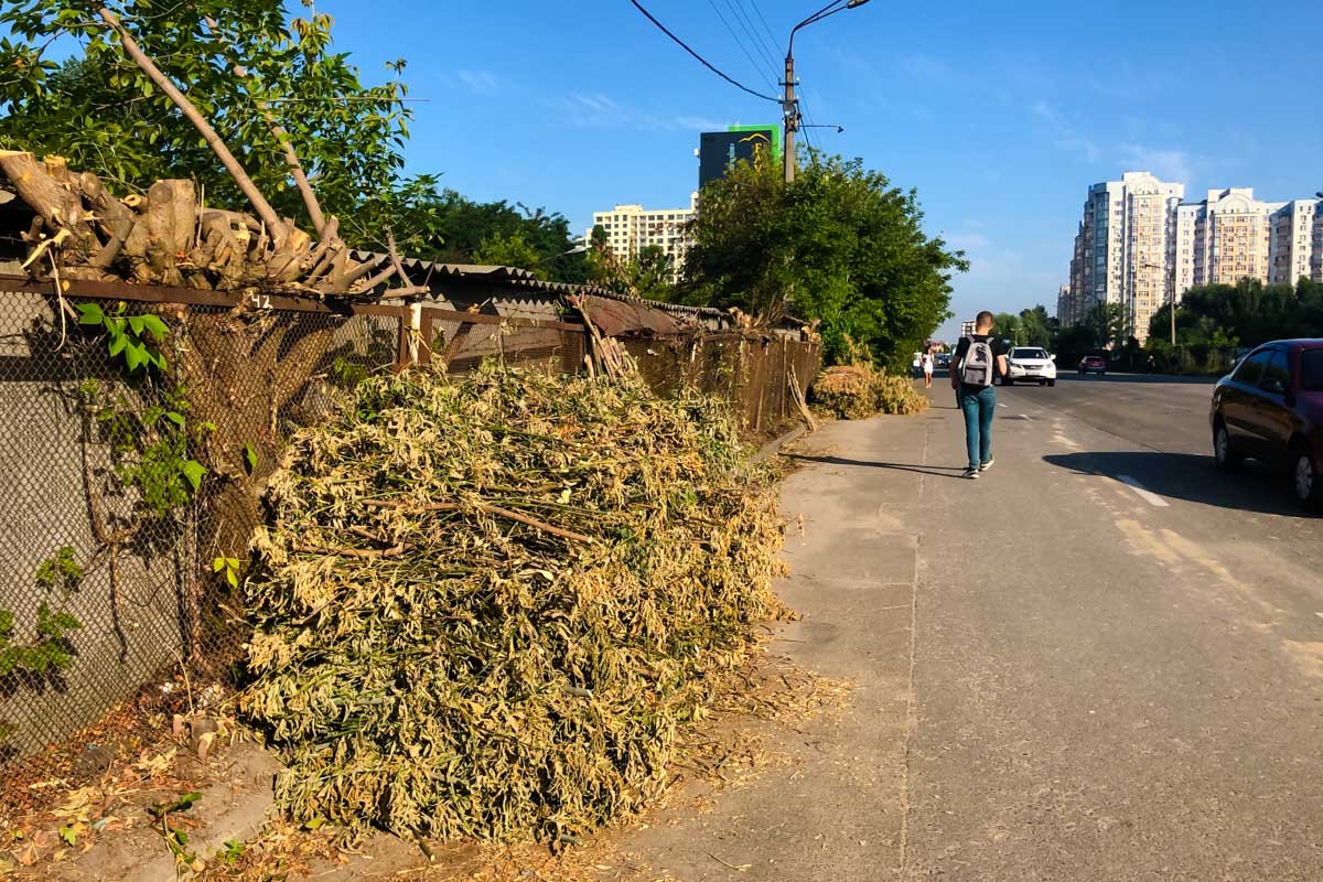 Работа "кипит" уже неделю