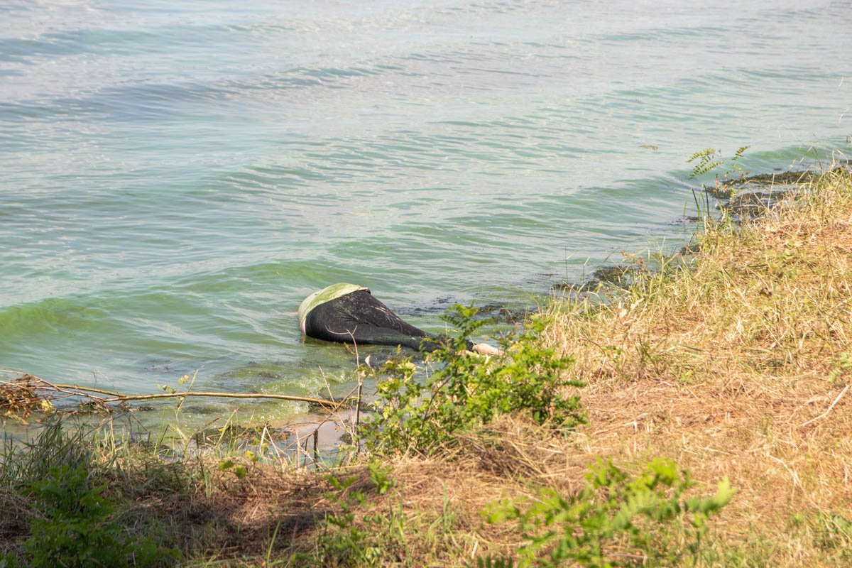 Тело лежало на берегу Днепра и частично находилось в воде
