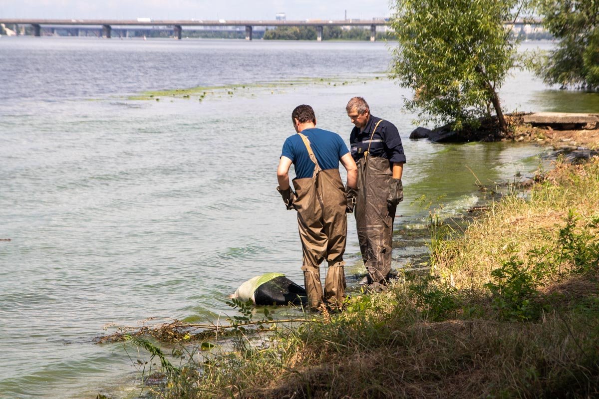 Труп из воды доставали спасатели