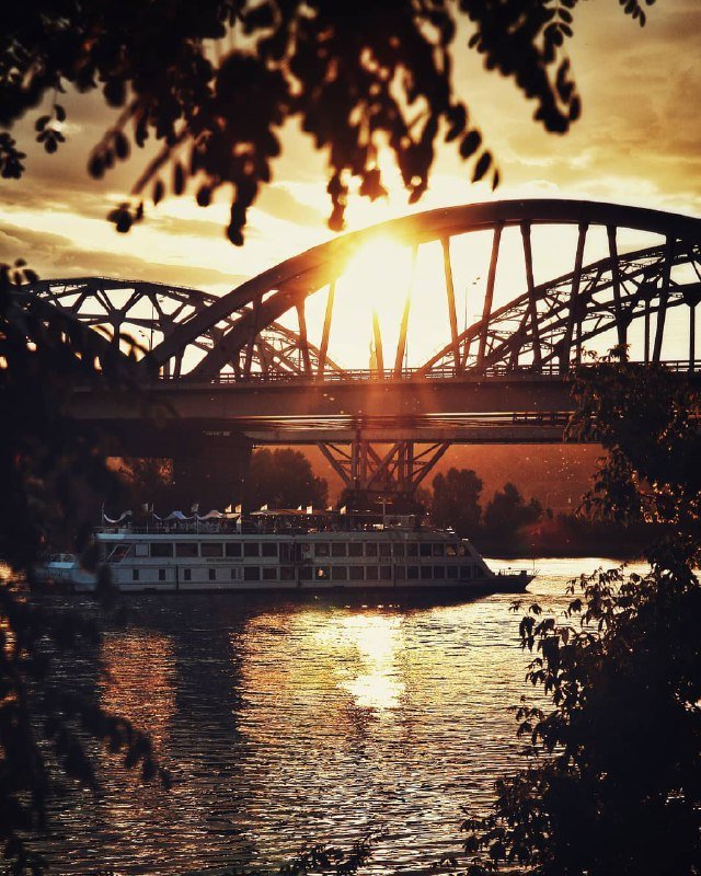 Все цвета лета в одном кадре. Фото: @istetsen