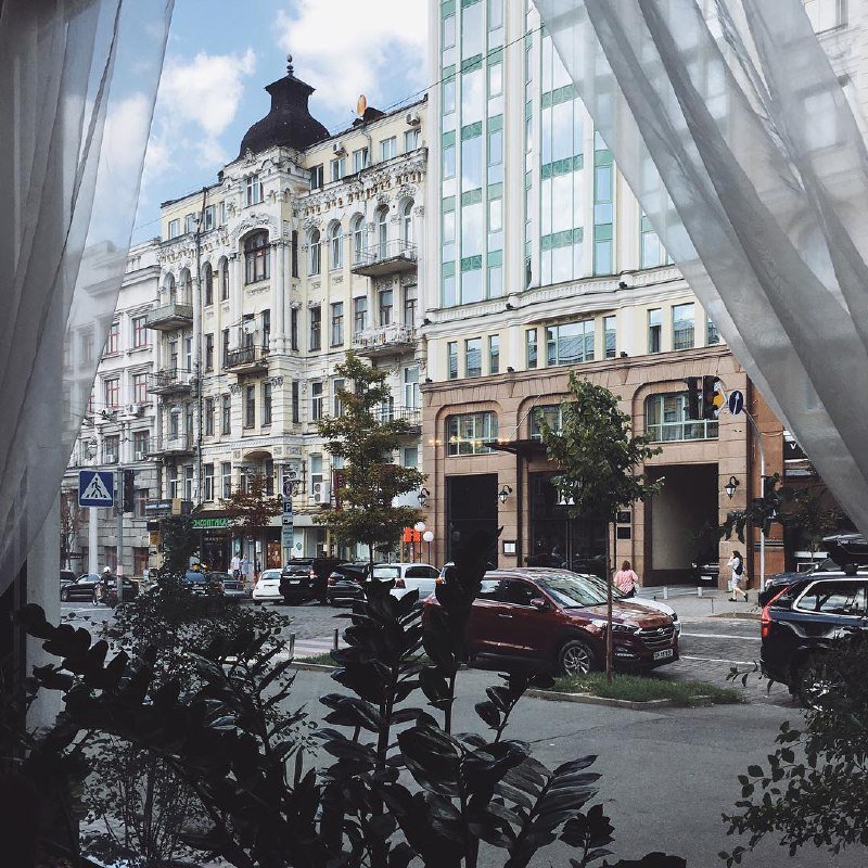 Приоткройте для себя занавес и вы увидите прелесть. Фото: @silentbluesea