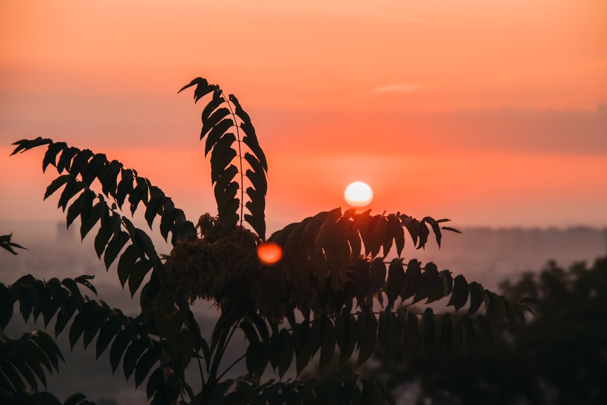 Деревья постепенно просыпаются от ласкового прикосновения первых лучей Деревья постепенно просыпаются от ласкового прикосновения первых лучей