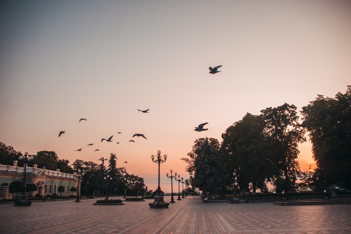 А первые птицы собираются в стаи и взмывают на встречу новому дню А первые птицы собираются в стаи и взмывают на встречу новому дню