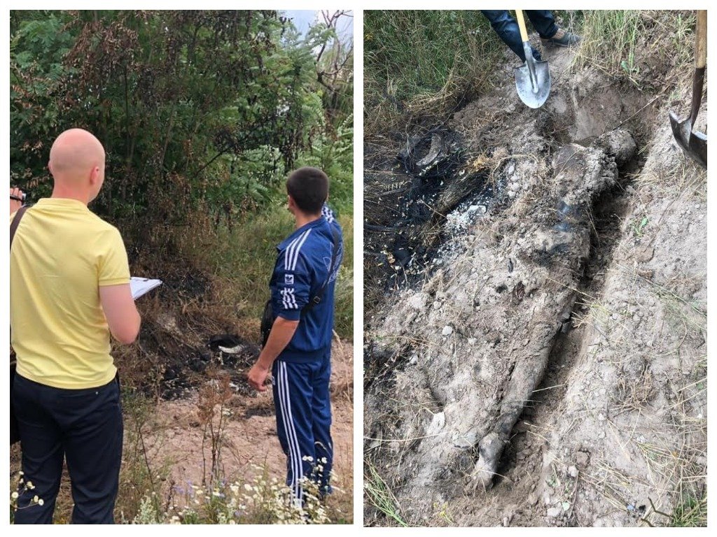 Парня жестоко убили из-за 600 долларов Парня жестоко убили из-за 600 долларов