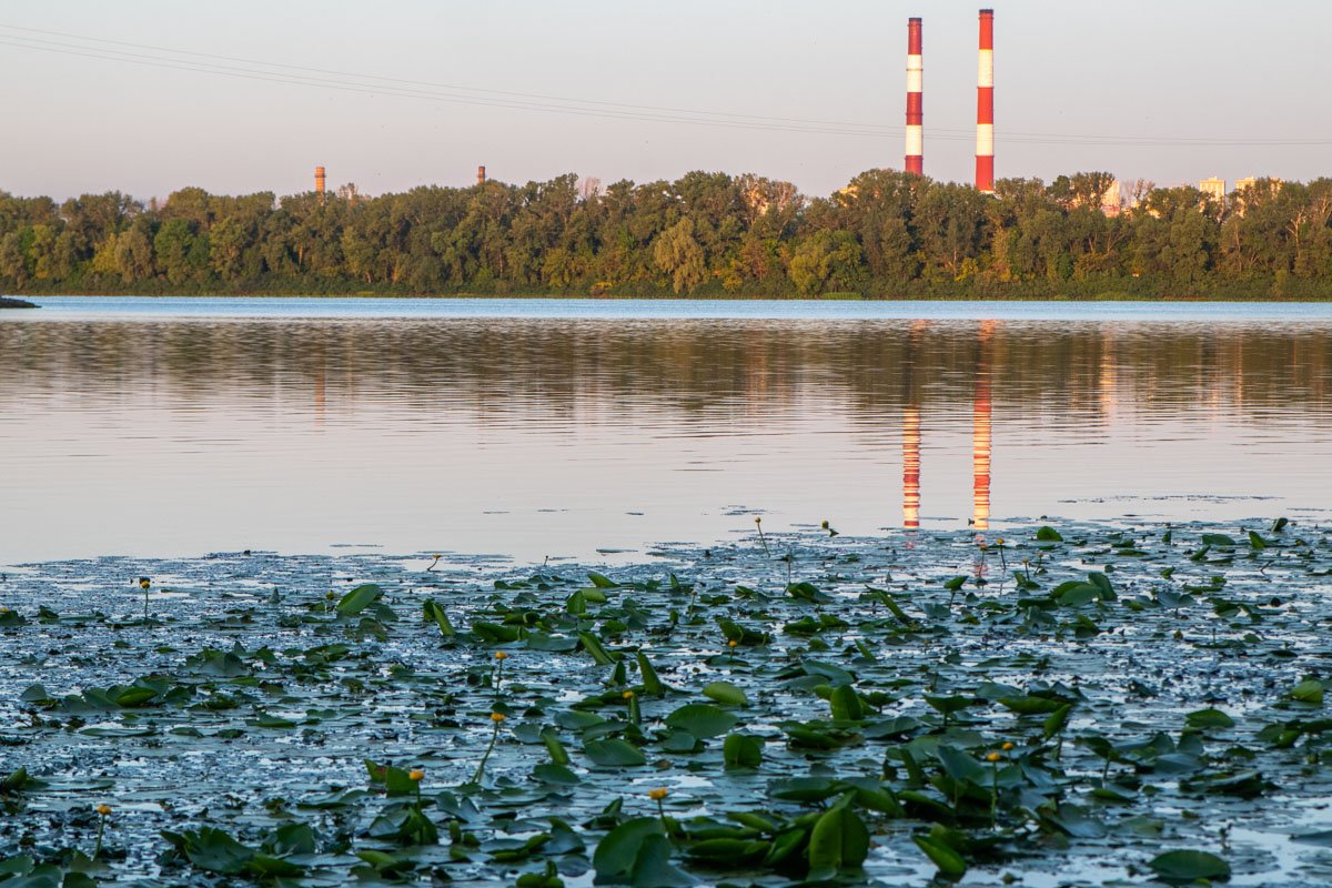 В отражении спокойной воды залива можно увидеть отражение окружающих сооружений