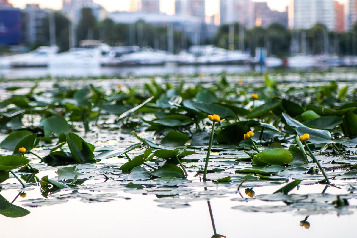Еще есть 30 дней, чтобы успеть провести лето по полной