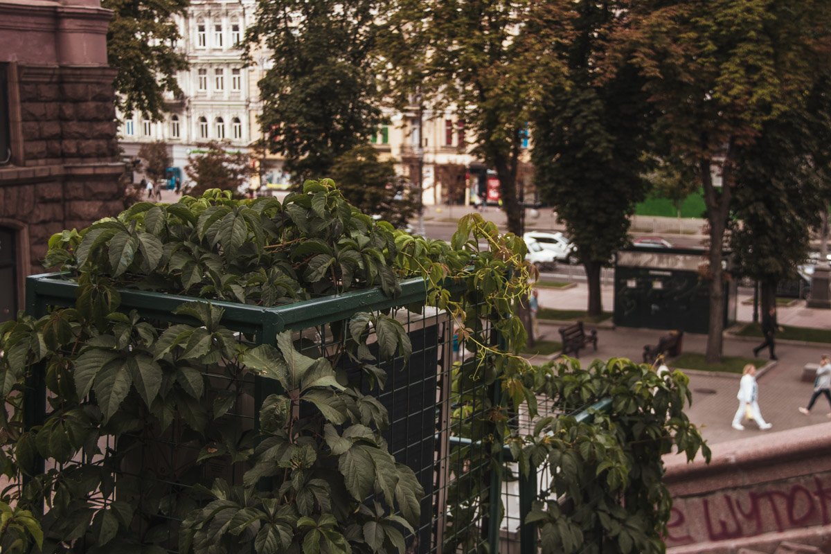 Утром мир замирает, как натянутая пружина, готовая сорваться с места в любой момент Утром мир замирает, как натянутая пружина, готовая сорваться с места в любой момент