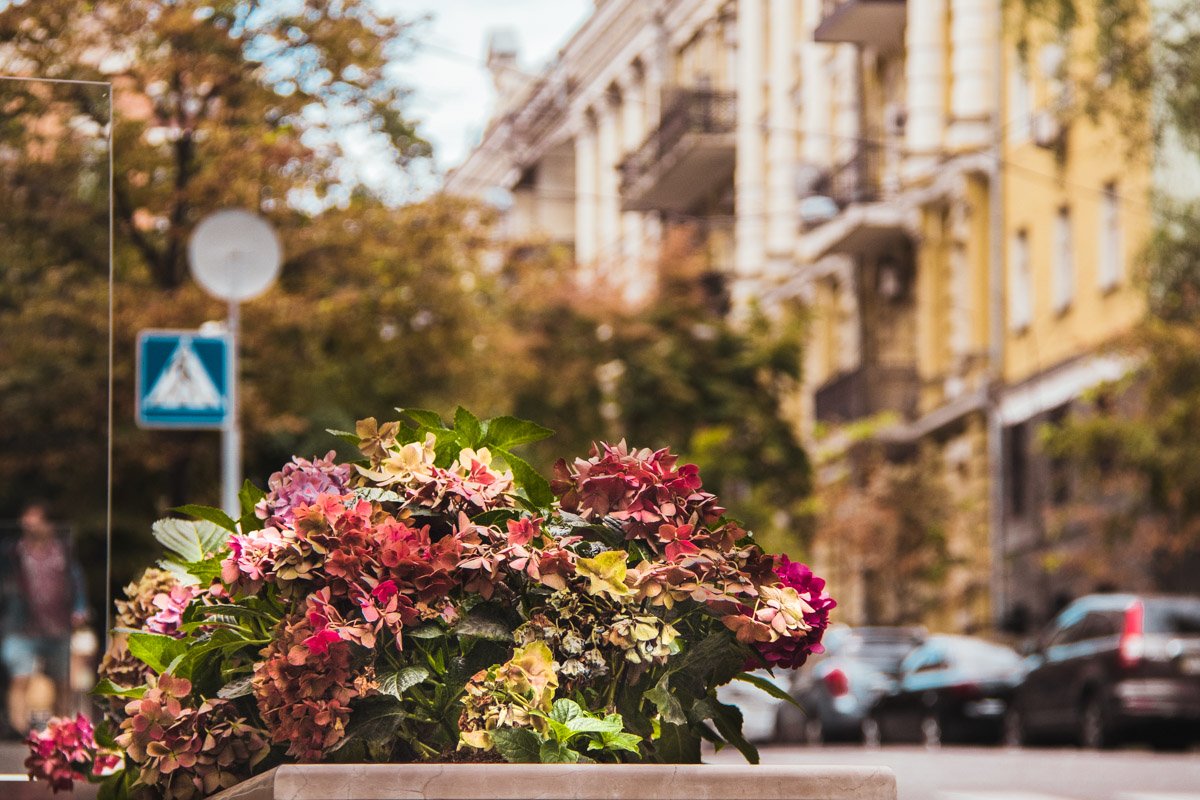 Утром краски блекнут, чтобы ночью взорваться неоновыми радугами вывесок и витрин Утром краски блекнут, чтобы ночью взорваться неоновыми радугами вывесок и витрин