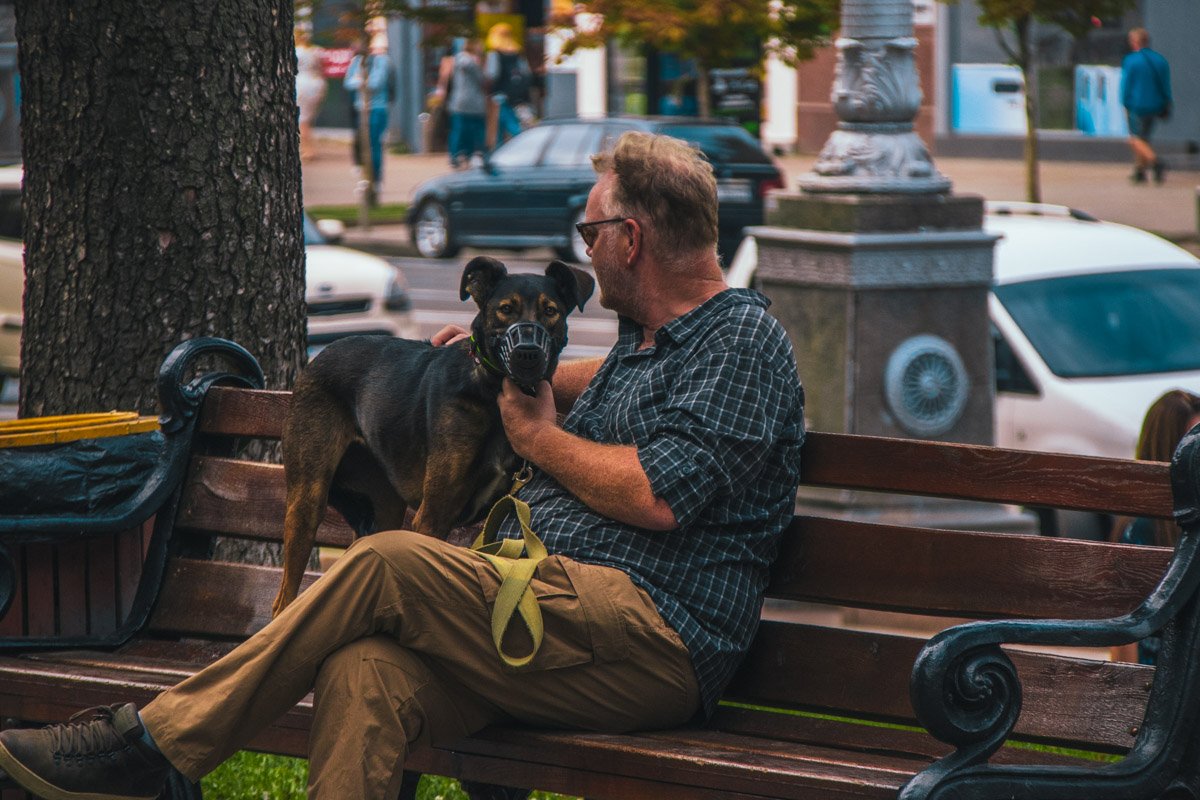 Собака, которая не привыкла прятать взгляд Собака, которая не привыкла прятать взгляд