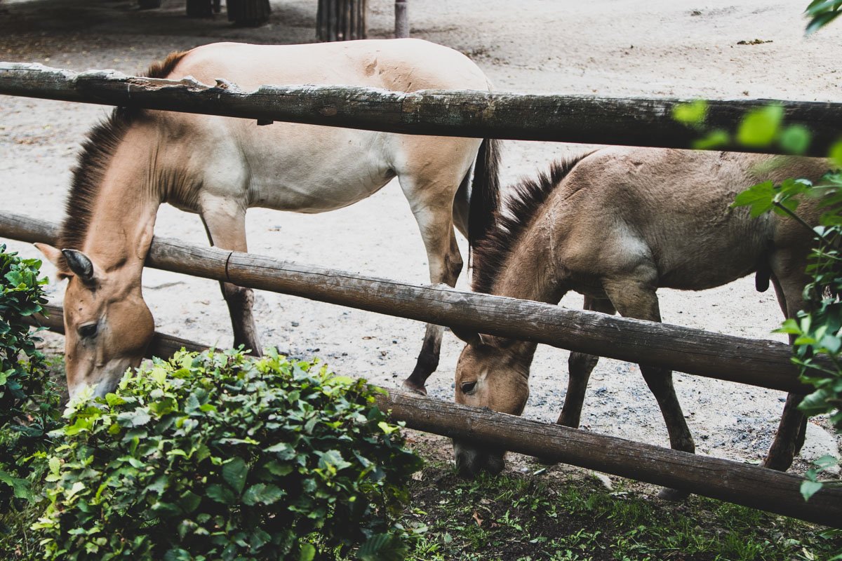 В хорошую погоду и обедать получается куда как охотнее