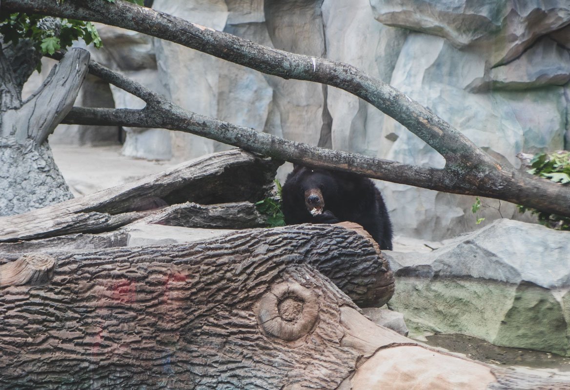 Кому-то, впрочем, даже ясная погода не способна исправить врожденную привычку экономить энергию