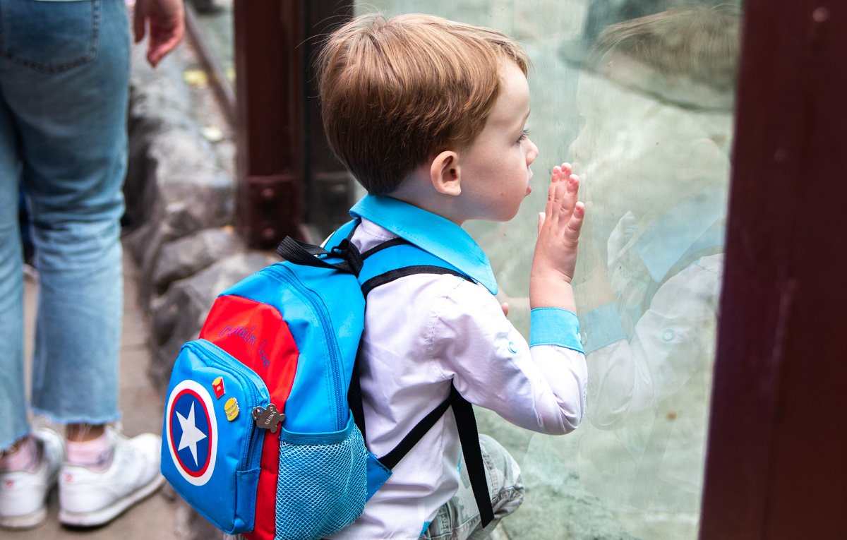 Неудивительно, что частенько можно было увидеть вот такую картину - буквально залипнувших детей, внимательно следящих за животными
