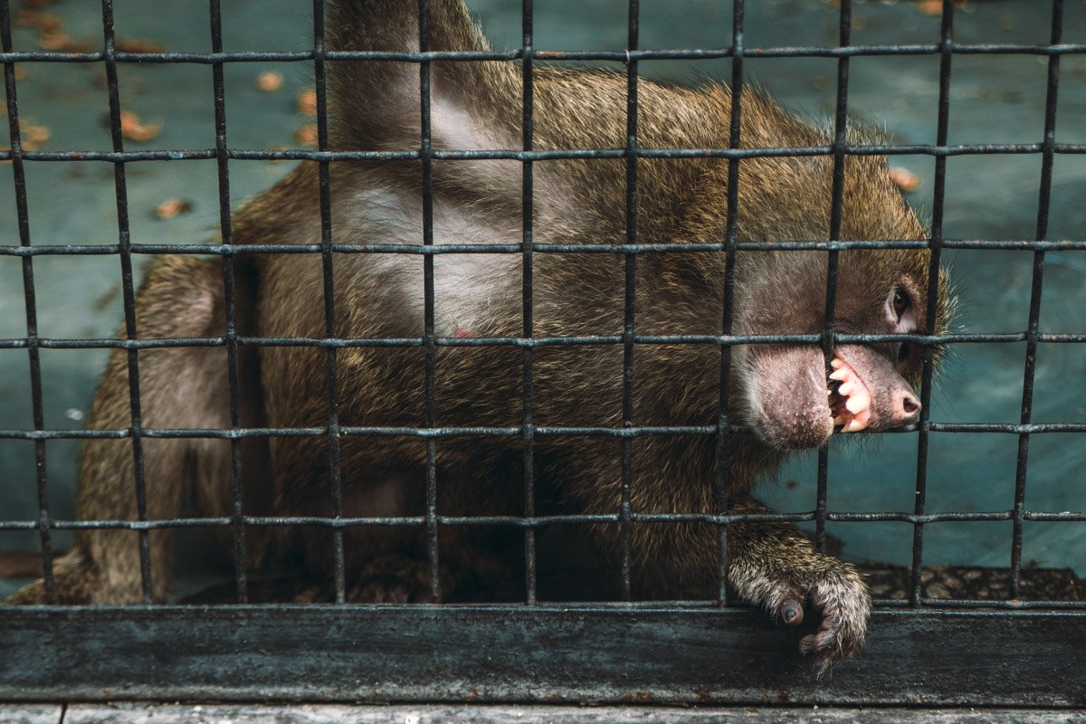 Главное - не бояться иногда показывать зубки