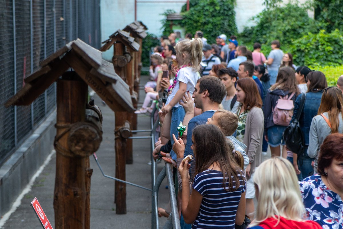 Август - последний месяц, когда среди посетителей зоопарка настолько много детей