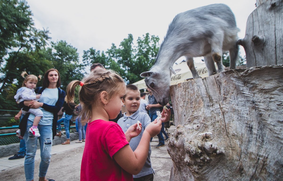 Нашествие детей заканчивается тем, что вся летняя диета заканчивается провалом - ну как тут устоишь, когда тебя все время подсовывают еду