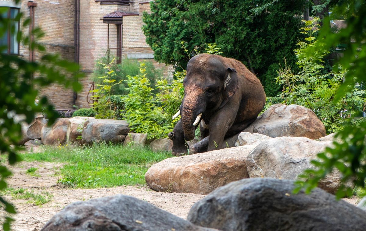 Когда целый день прошел в движении, просто необходимо присесть и отдохнуть