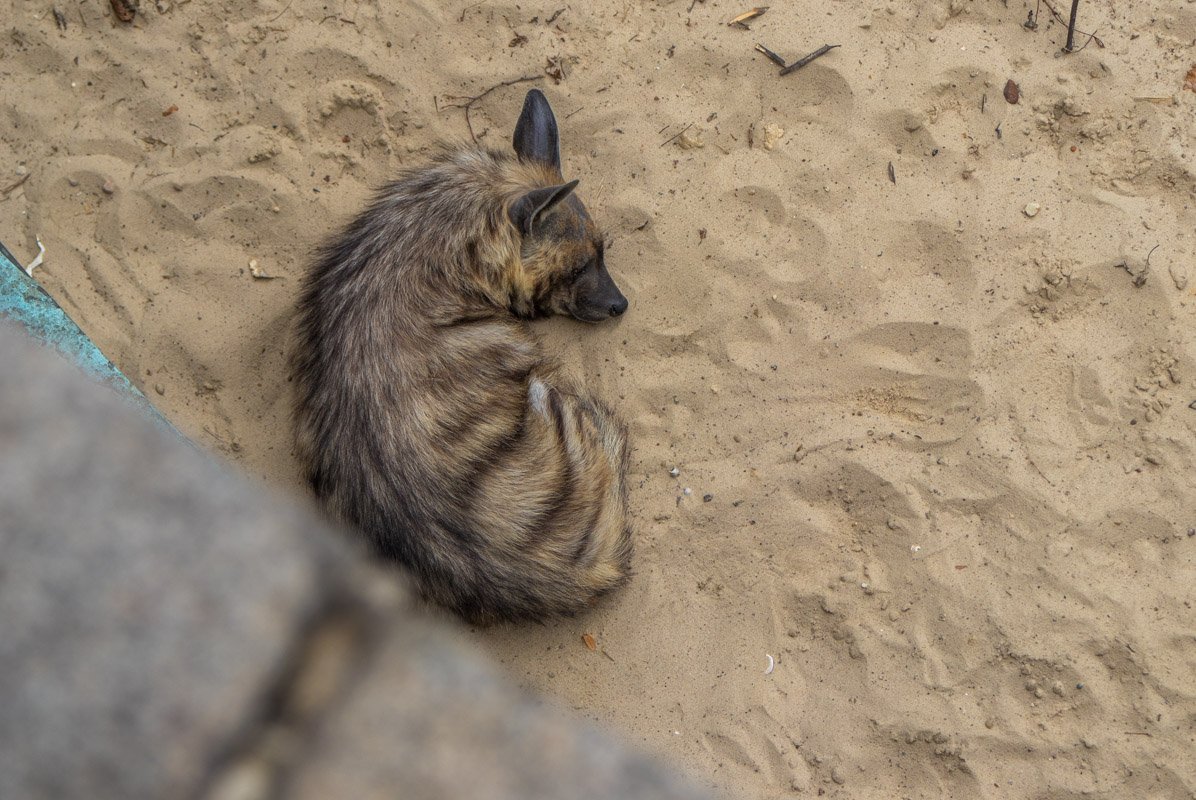 К концу дня таких уставших становится все больше