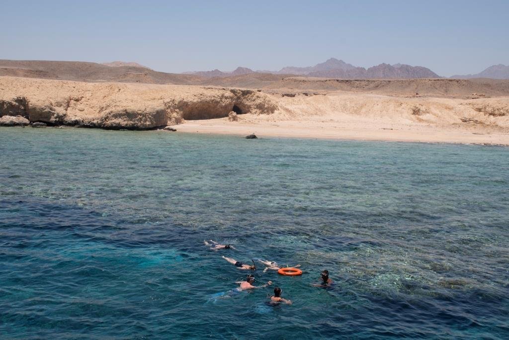 В Красном море самый богатый подводный мир, это стоит того, чтобы увидеть (фото, сделанное на экскурсии вне территории отеля) В Красном море самый богатый подводный мир, это стоит того, чтобы увидеть (фото, сделанное на экскурсии вне территории отеля)