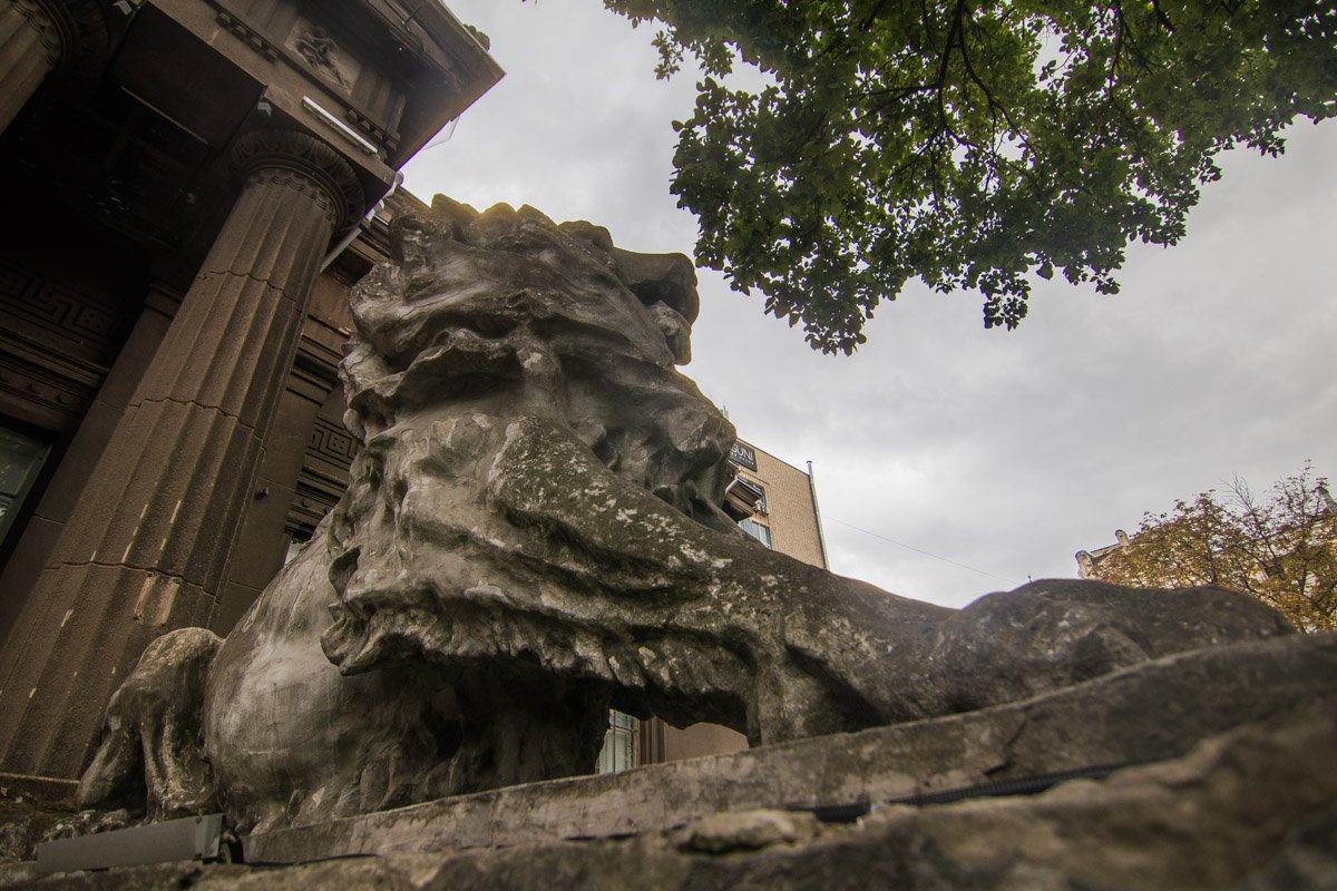 А вот один из тех знаменитых львов