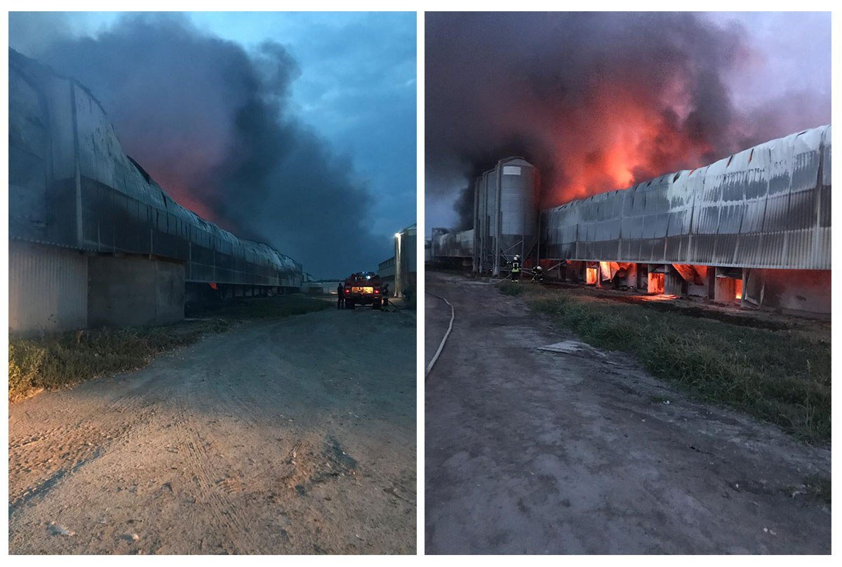 Под Киевом вспыхнул ангар птицефабрики