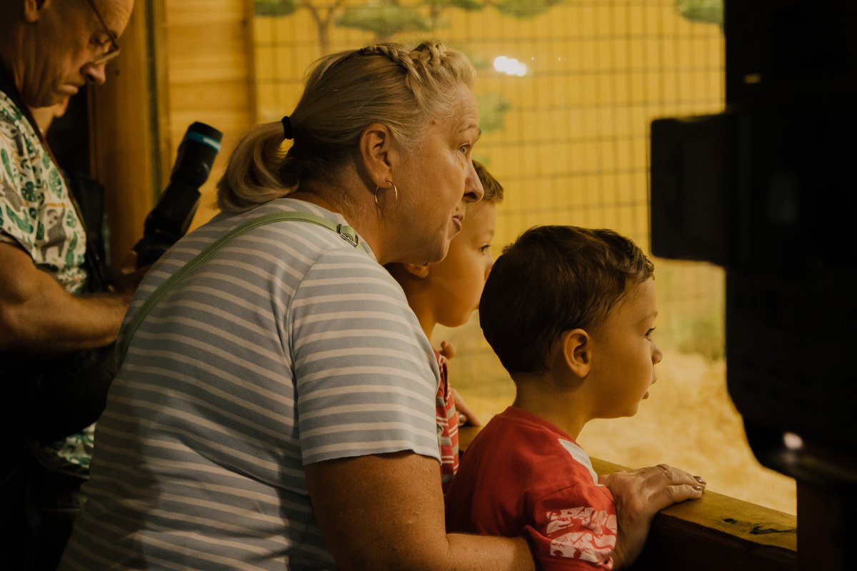 Такое скопление людей возле вольера с Тони - не исключительное явление Такое скопление людей возле вольера с Тони - не исключительное явление