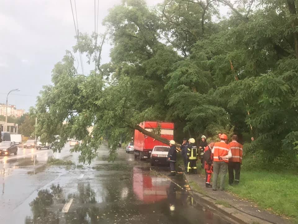 Некоторые деревья зацепили линии электропередач