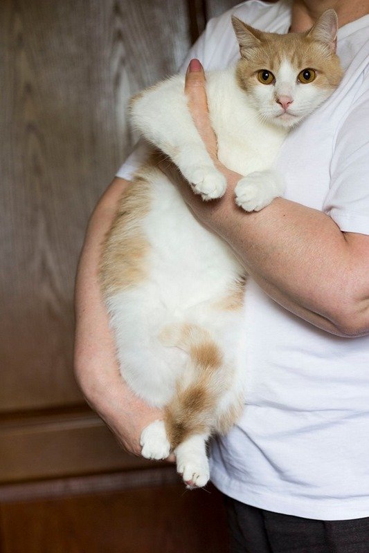 В Антошке 7 килограмм счастья В Антошке 7 килограмм счастья