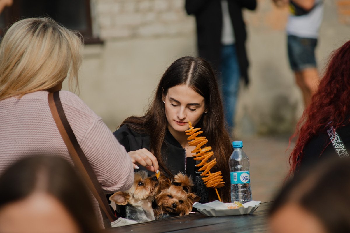 Питались и были довольны решительно все, и не только двуногие гости праздника