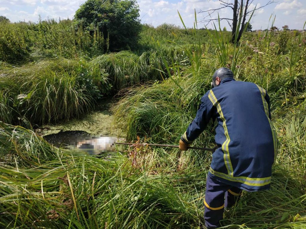 Под Киевом в реке обнаружили утопленника Под Киевом в реке обнаружили утопленника