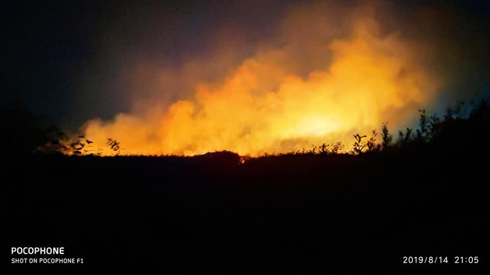 В селе Вишняки Хорольского района, Полтавской области, произошел пожар на свалке