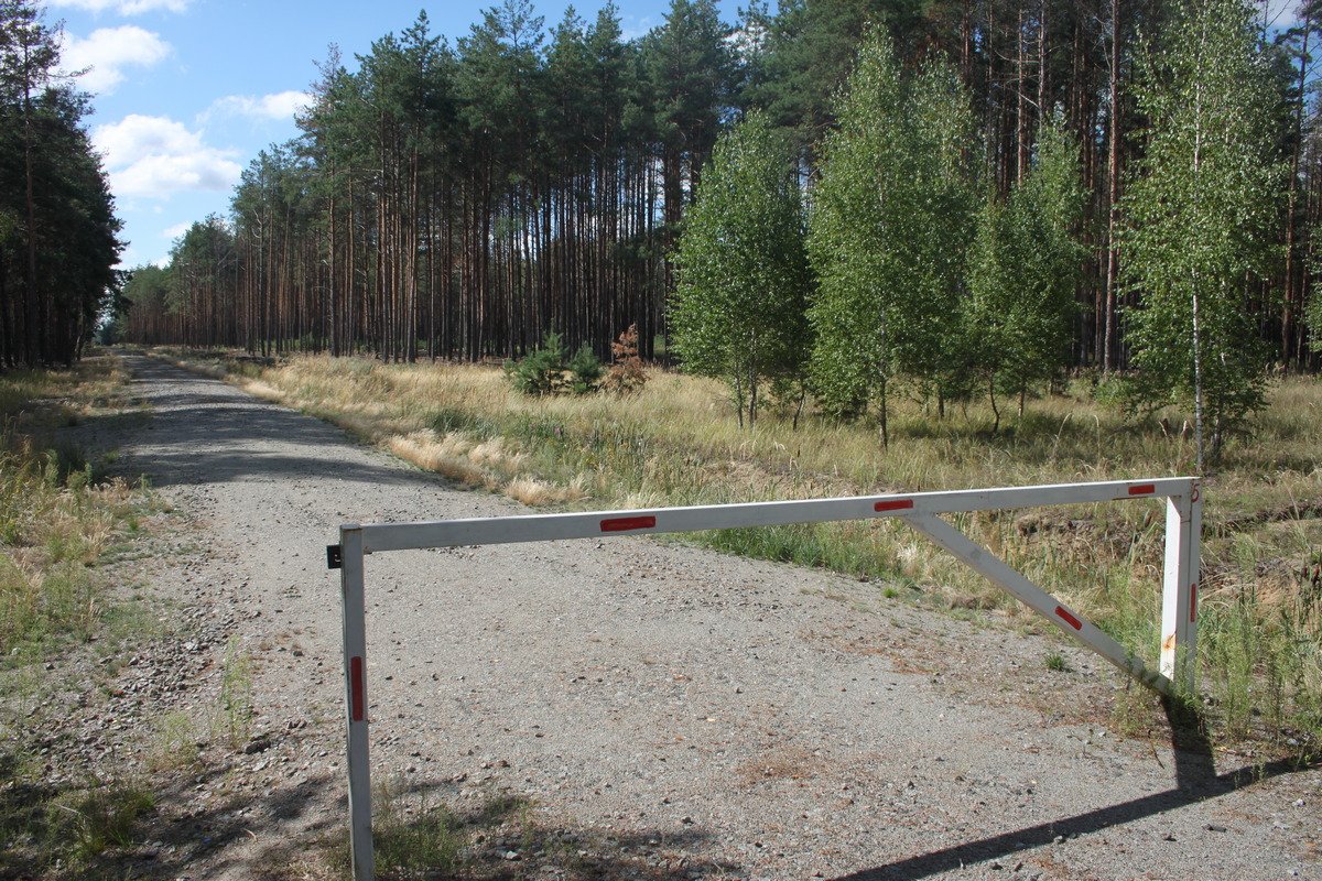 В лесах под Киевом появится новый природный парк В лесах под Киевом появится новый природный парк