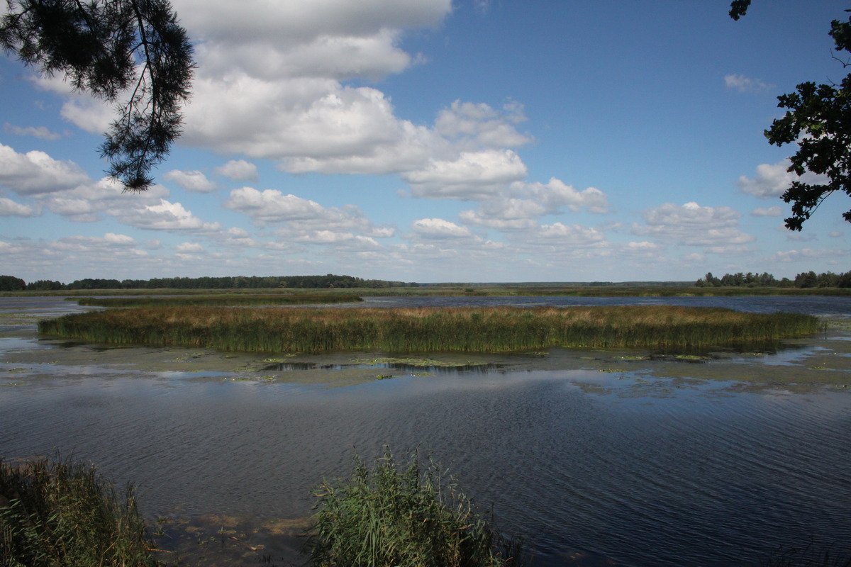 Эта местность использовалась как охотничьи угодья для партийной верхушки СССР, а также ближайшим окружением Януковича Эта местность использовалась как охотничьи угодья для партийной верхушки СССР, а также ближайшим окружением Януковича