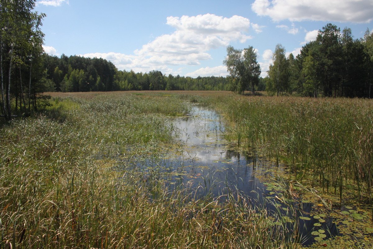 Теперь территория общей площадью 304 квадратных километра пополнит заповедный фонд Украины Теперь территория общей площадью 304 квадратных километра пополнит заповедный фонд Украины