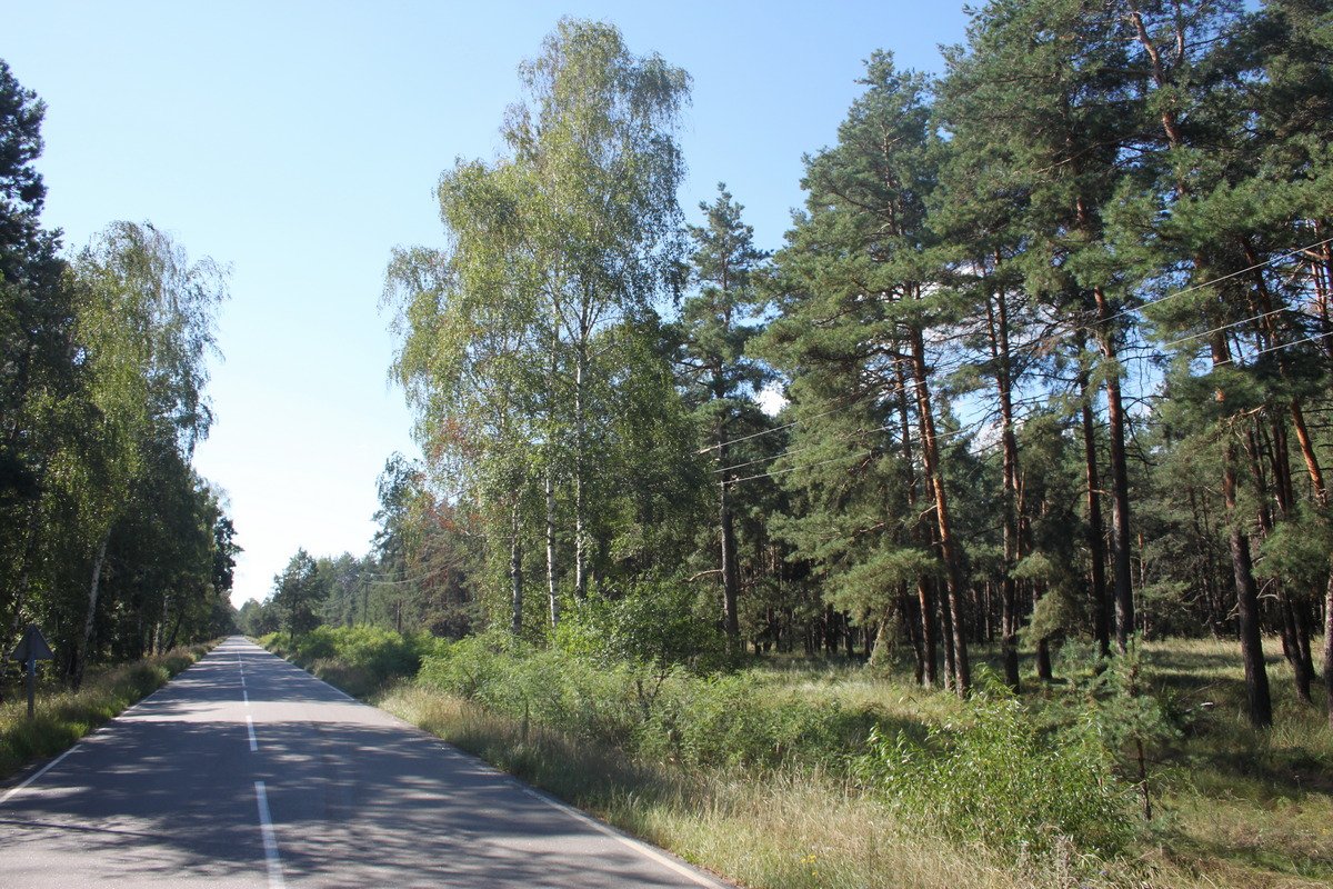 На территории парка уже есть развитая инфраструктура - например 20 километров дорог На территории парка уже есть развитая инфраструктура - например 20 километров дорог