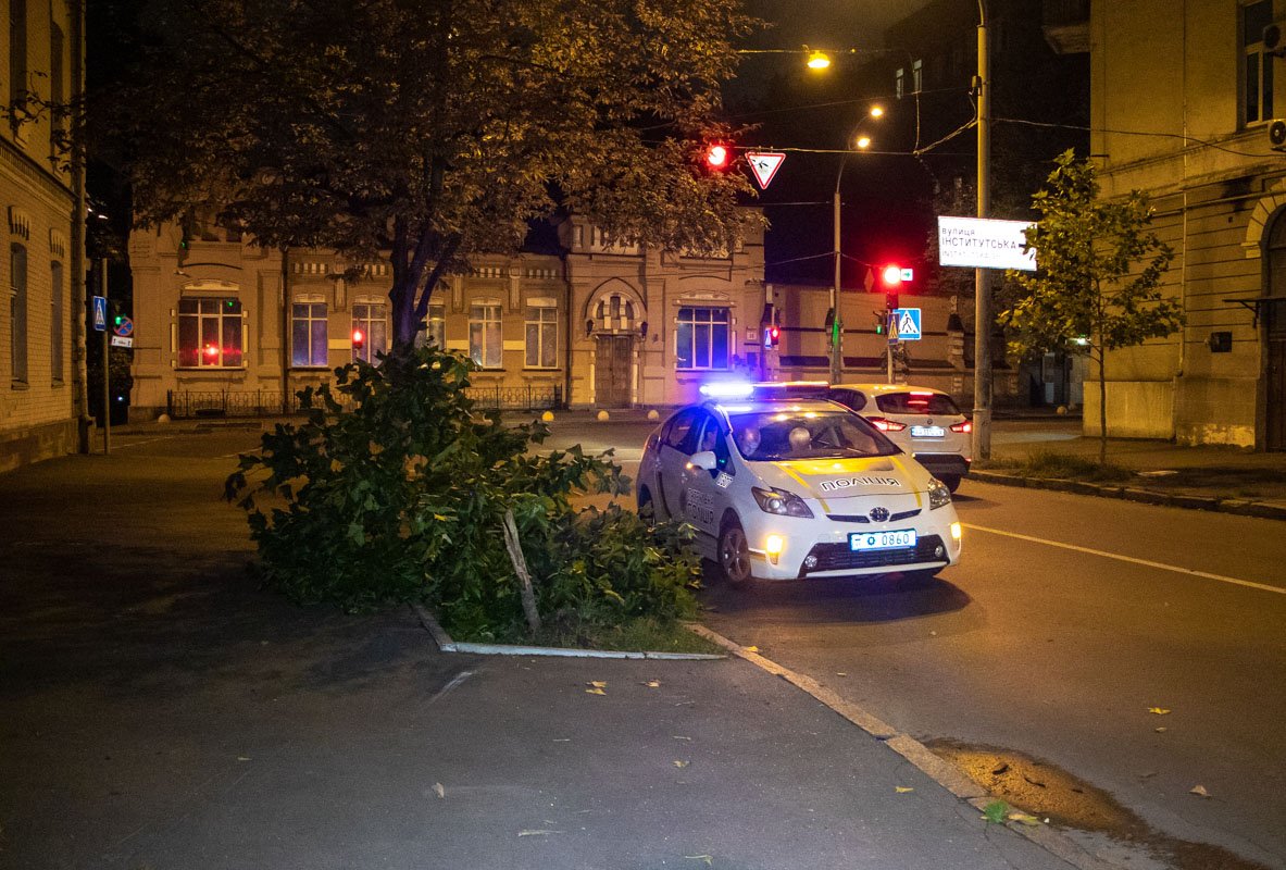 Автомобиль не вошел в поворот и по пути снес еще одно небольшое зеленое насаждение 