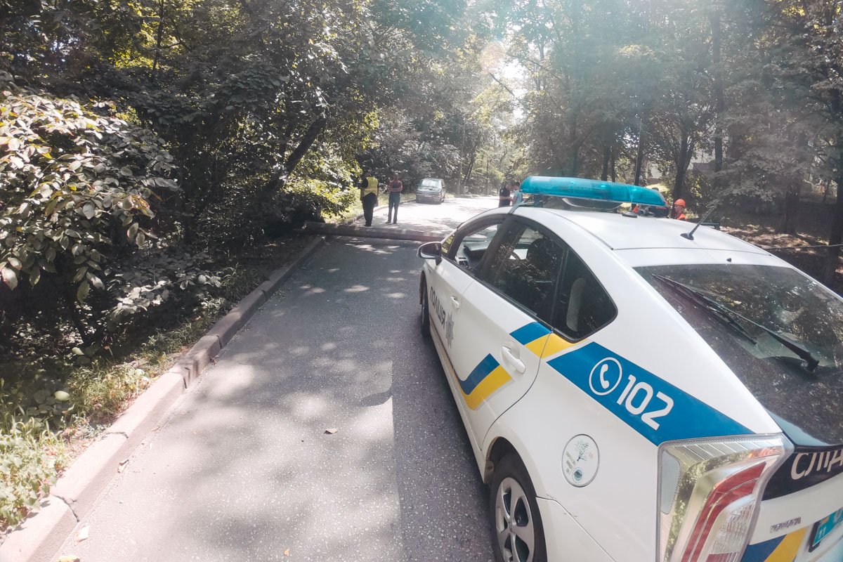  Подробности случившегося устанавливаются