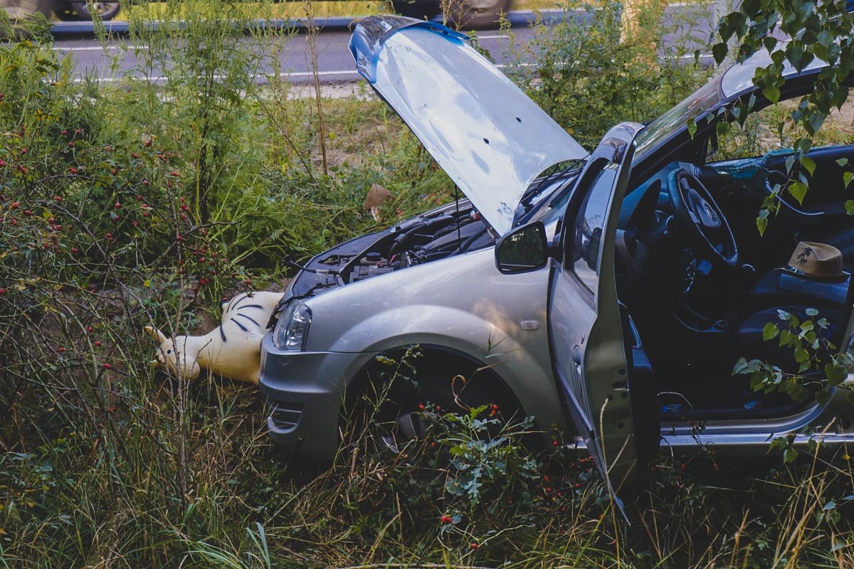 В результате столкновения погибла женщина, еще двое мужчин госпитализированы В результате столкновения погибла женщина, еще двое мужчин госпитализированы