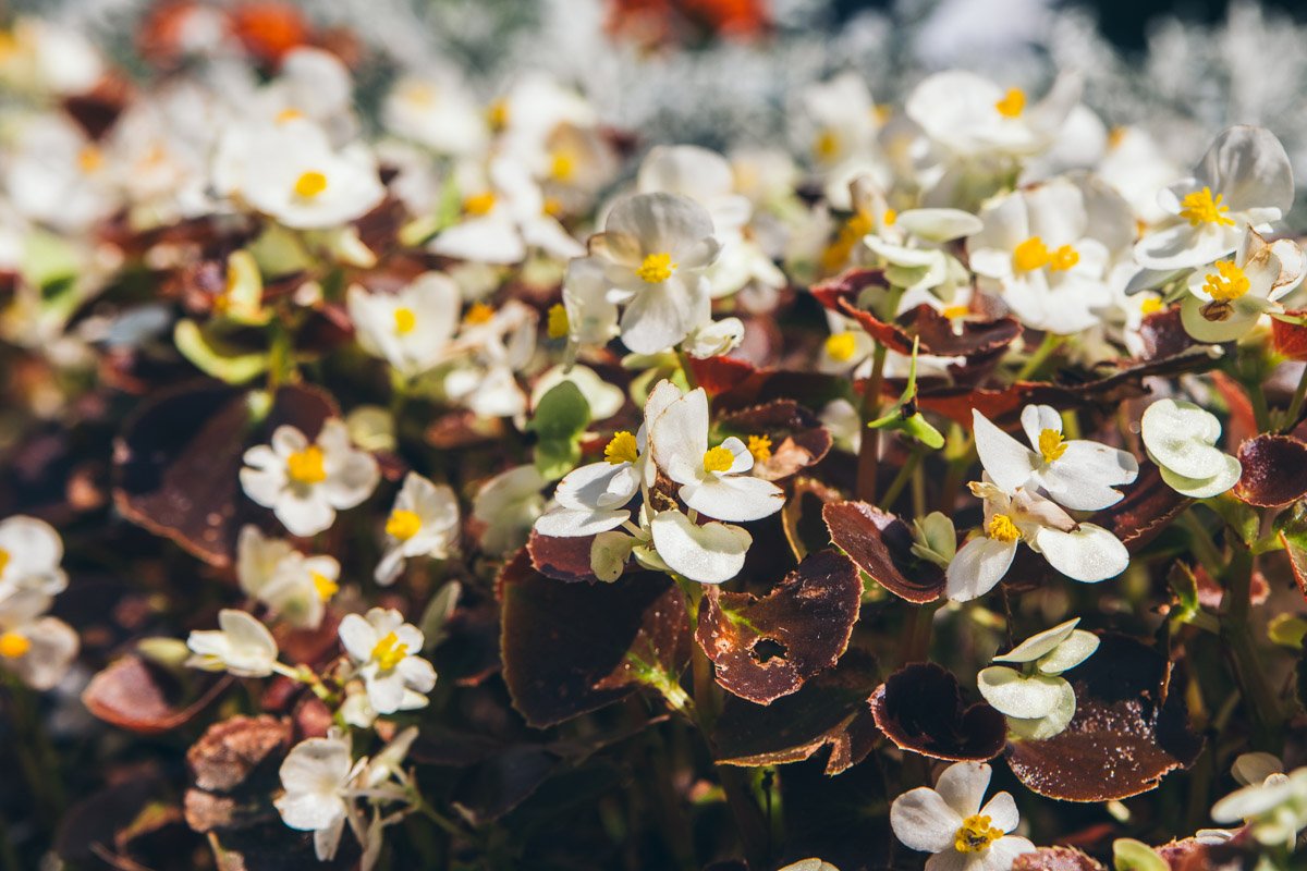 Работать над ее созданием начали в апреле, но воплощать задумки стали лишь после завершения предыдущей выставки Работать над ее созданием начали в апреле, но воплощать задумки стали лишь после завершения предыдущей выставки