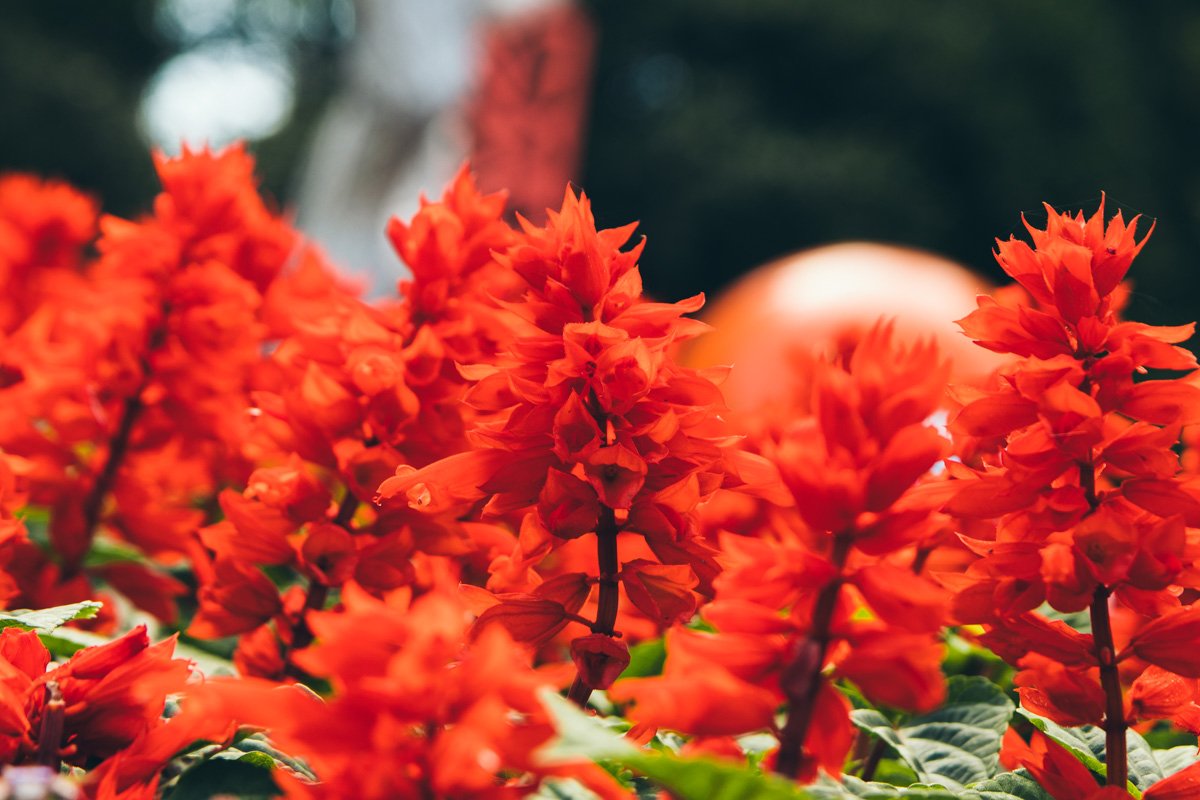 Выставка привлекла внимание как юных любителей спорта, так и взрослых Выставка привлекла внимание как юных любителей спорта, так и взрослых